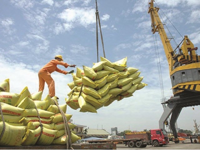Vietnamese rice export price reaches record level