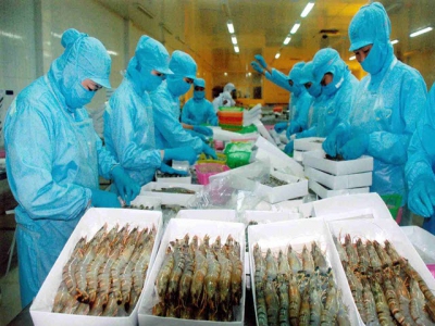 Vietnam becomes the fourth largest seafood exporter to Japan