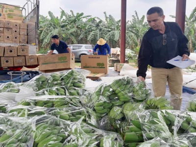 Hoa Binh makes moves to boost export of agricultural products