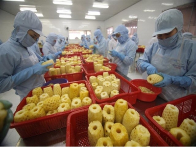 Vietnamese fruit and vegetable sector targets export revenue of $10 billion