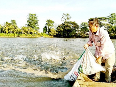 Mekong Delta farmers face difficulties due to rising agricultural supply prices