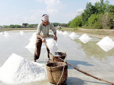 Linkage with enterprises, technological app needed to raise salt farmers profit