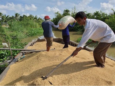 Vietnam sells 50,000 tons of rice to Bangladesh