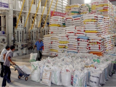 More than 200 enterprises qualified for exporting rice