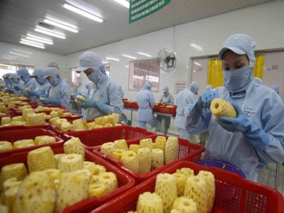 Vietnam targets 10 billion USD from fruit, vegetable exports by 2030