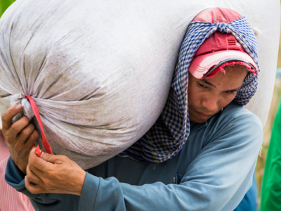 Rice price surges 18 pct