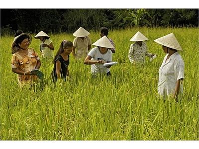 Ông Hồng Làm Giàu Bằng Nghề Nông