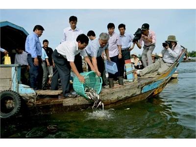 Bảo Vệ Các Loài Cá Quý Hiếm