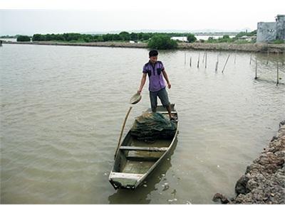 Quảng Yên (Quảng Ninh) Đẩy Mạnh Phát Triển Thuỷ Sản