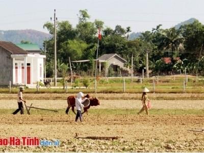 Vượt khó sản xuất hè thu