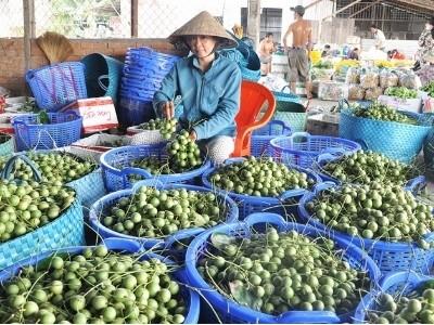 Trái cây gặp khó