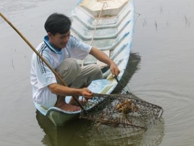 Cua tăng giá, nông dân vẫn lo