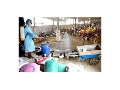 Xuất cấp hóa chất sát trùng cho tỉnh Bình Thuận