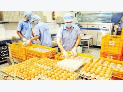 Prices of pork, eggs, chicken increase