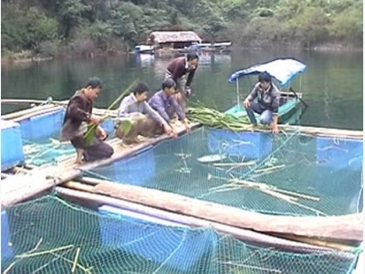 North Viet Nam eyes aquaculture growth