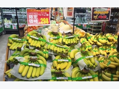 VN eyes more fruit exports to Japan