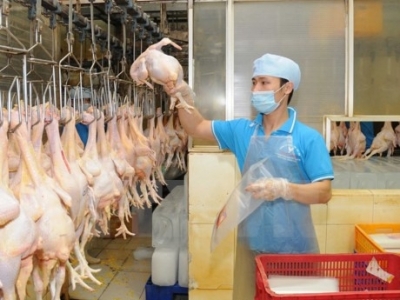 VN seeks to boost livestock product exports