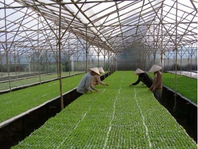 Making farming in the clouds a reality in Vietnam