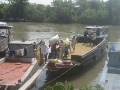 Vietnam exports 2.3 million tons of rice in first five months