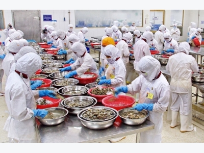 Vietnams aquatic product exports hit 2.8 billion USD