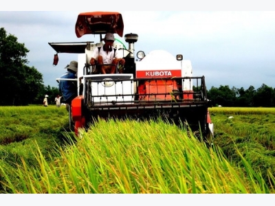 Mekong Delta rice production to increase despite possible early flooding