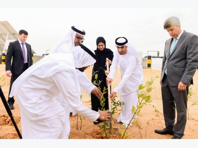 Worlds first farm to grow food and fuel in the desert opens in Abu Dhabi