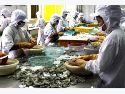 Australia relaxes requirements for Vietnam shrimp