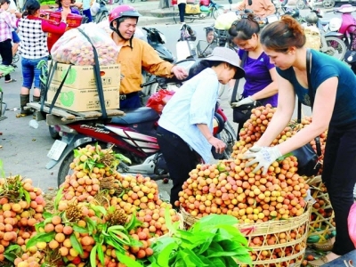 Fruit, vegetable exports surpass oil