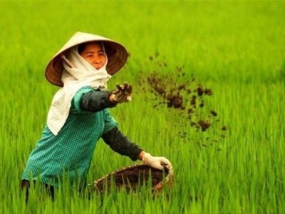 Demand for organic fertiliser rises in VN