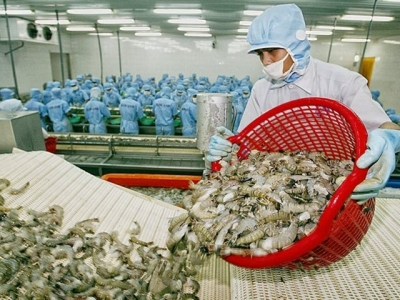 US to crack down on illegal shrimp imports