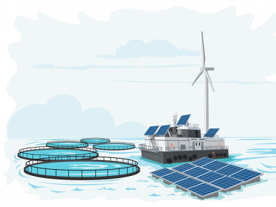 How to make the fish farming industry more climate friendly