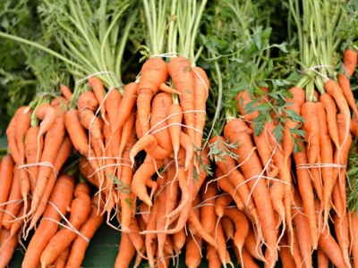 No-till can be practical for vegetables