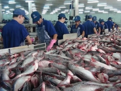 Shortages of material tra fish continue