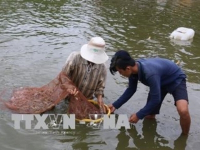 Seminar talks development of shrimp farming