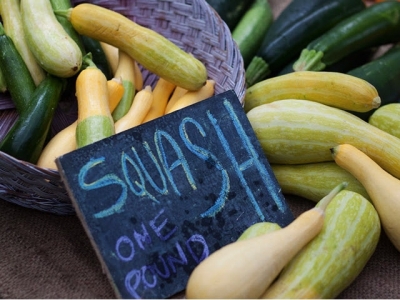 10 Summer Squash Varieties: Some You Know, Some You Dont