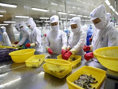 Mitsui & Co to invest in Vietnamese shrimp producer Minh Phú