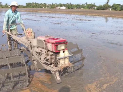 Khuyến cáo lịch thời vụ và các biện pháp canh tác vụ lúa Hè Thu năm 2019