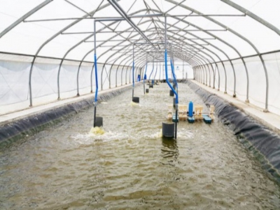 Mô hình Ba chuẩn giúp tăng năng suất nuôi trồng thủy sản