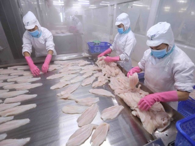 Japan among top 10 importers of Vietnams tra fish for first time