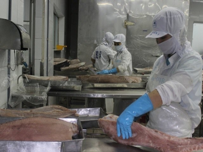 Many advantages for tuna exports to ASEAN