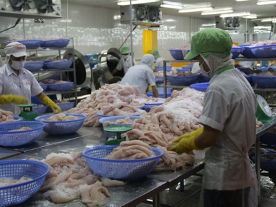 EC to review yellow card on Vietnamese seafood in November