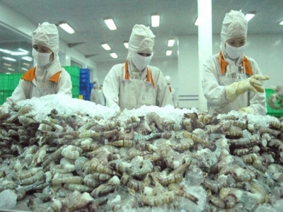 Cà Mau: Total 17,000 tons of seafood for exports are pending