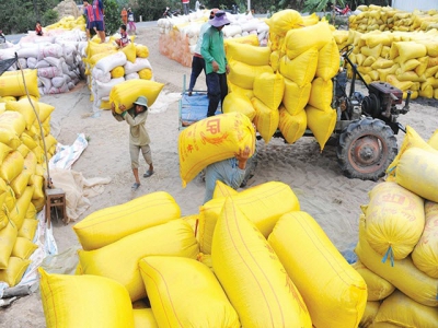 Calls for shake-up in rice exporting