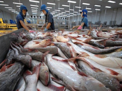 US loosens labelling requirements for tra fish imports