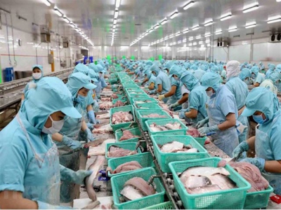U.S. reduces antidumping taxes on Vietnamese catfish