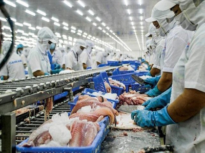 Ongoing situation of pangasius market and export potential