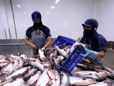 Aquatic exports to China shows sign of recovery