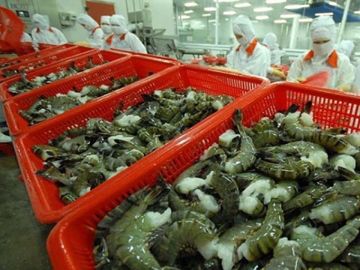 Việt Nam has high shrimp export growth to US and Japan in Q1