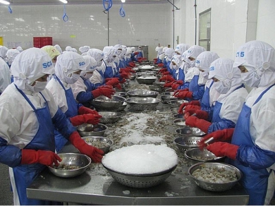 Japan becomes Vietnams leading import market for shrimp