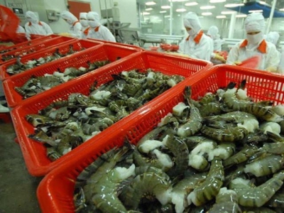 Shrimp exporters look forward to H2 comeback